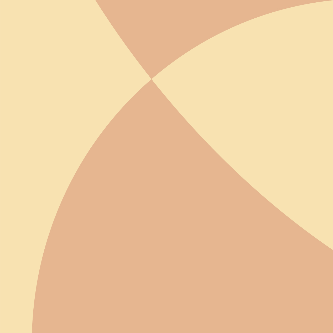 Single Kidney Health Fact Sheet